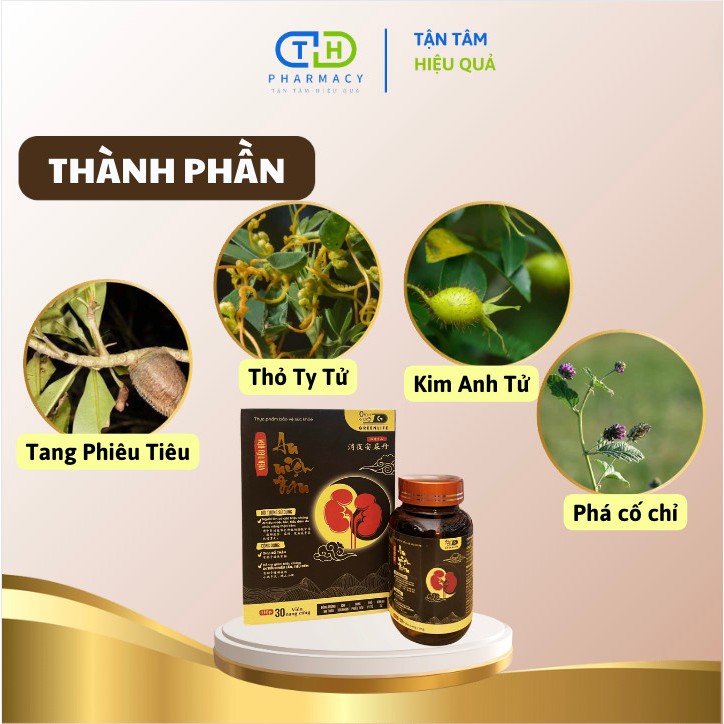 VIÊN TIỂU ĐÊM  AN NIỆU ĐAN - Giúp bổ thận, cải thiện chứng tiểu đêm, đi tiểu nhiều lần do chức năng thận kém