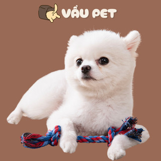 Đồ chơi dây thừng cho chó mèo (màu ngẫu nhiên) - Đồ chơi cho chó mèo Vẩu Pet Shop
