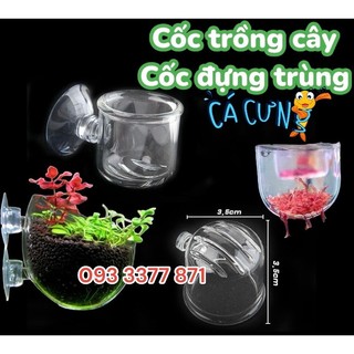 Cốc đựng giun dán bể kính | Cốc mica đựng trùng chỉ | Cốc trồng cây thủy sinh hồ cá