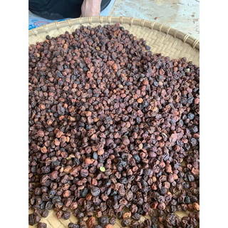 1KG QUẢ MẮC MẬT (MÁC MẬT) KHÔ - Gia Vị Quay Nướng