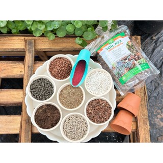 [ MAY ] ☘️Giá Thể Trộn Sẵn SOIL MIX Dành SEN ĐÁ - XƯƠNG RỒNG Túi ≈2.2KG(5dm)