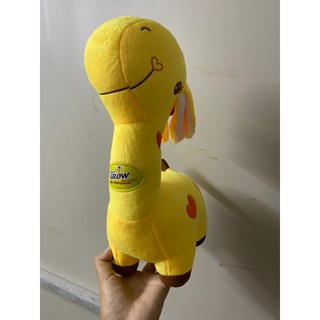 HƯƠU BÔNG TRÁI TIM NU GROW