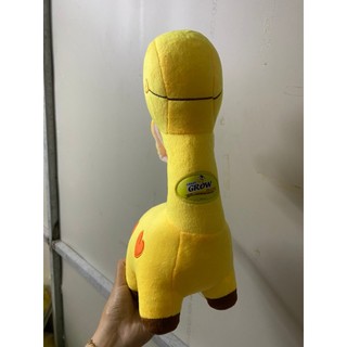 HƯƠU BÔNG TRÁI TIM NU GROW