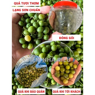 Quả Mắc Mật tươi, Bảo.quaan, Đóng gói đặc biệt, Quả Mác Mật, Móc Mật Lạng Sơn, Kho, Nướng Thịt, Muối Măng.v..v...
