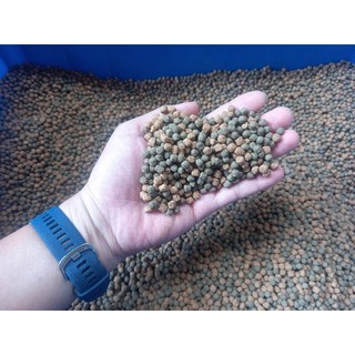 Cám Koi Karashi Jumbo Mix