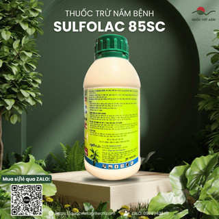 Thuốc trừ nấm bệnh OK SULFOLAC 85SC (chai 500ml) - Chuyên NHỆN ĐỎ