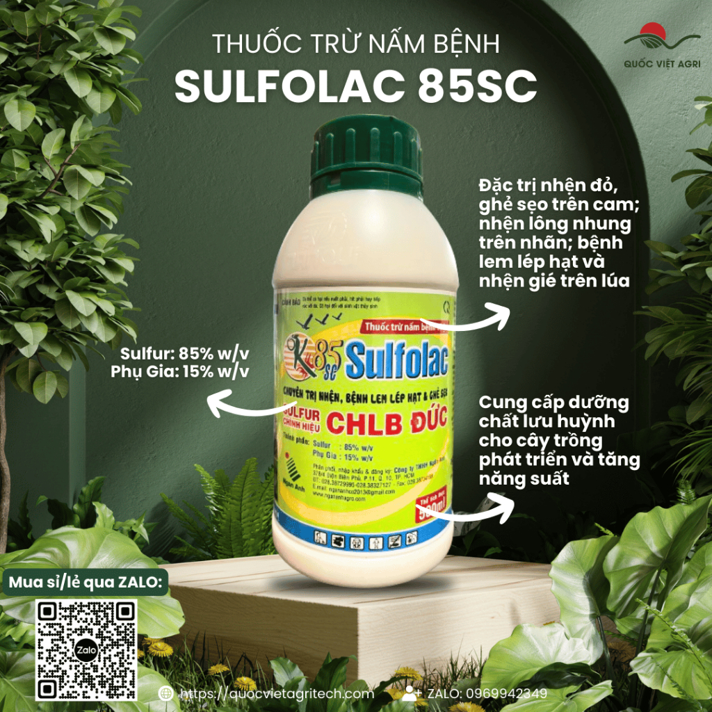 Thuốc trừ nấm bệnh OK SULFOLAC 85SC (chai 500ml) - Chuyên NHỆN ĐỎ