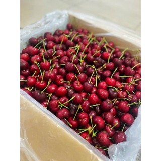 [Chỉ Giao HCM] Cherry Size 9.5 - 250g