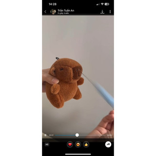 Móc khoá bơ, chuột lang Capypara