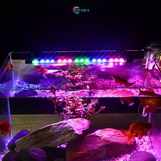 Đèn bể cá CHÌM 3 MÀU dành cho hồ cá cảnh