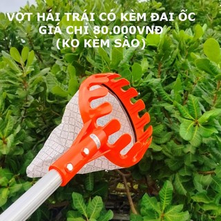 Lồng hái trái cây, vợt hái trái cây, vợt hái trái trên cao, lống hái trái cây trên cao