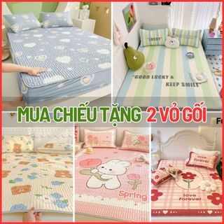 Chiếu Điều Hòa Cao Su Non 5D, Sự Lựa Chọn Hoàn Hảo Cho Giấc Ngủ Sâu và Thoải Mái