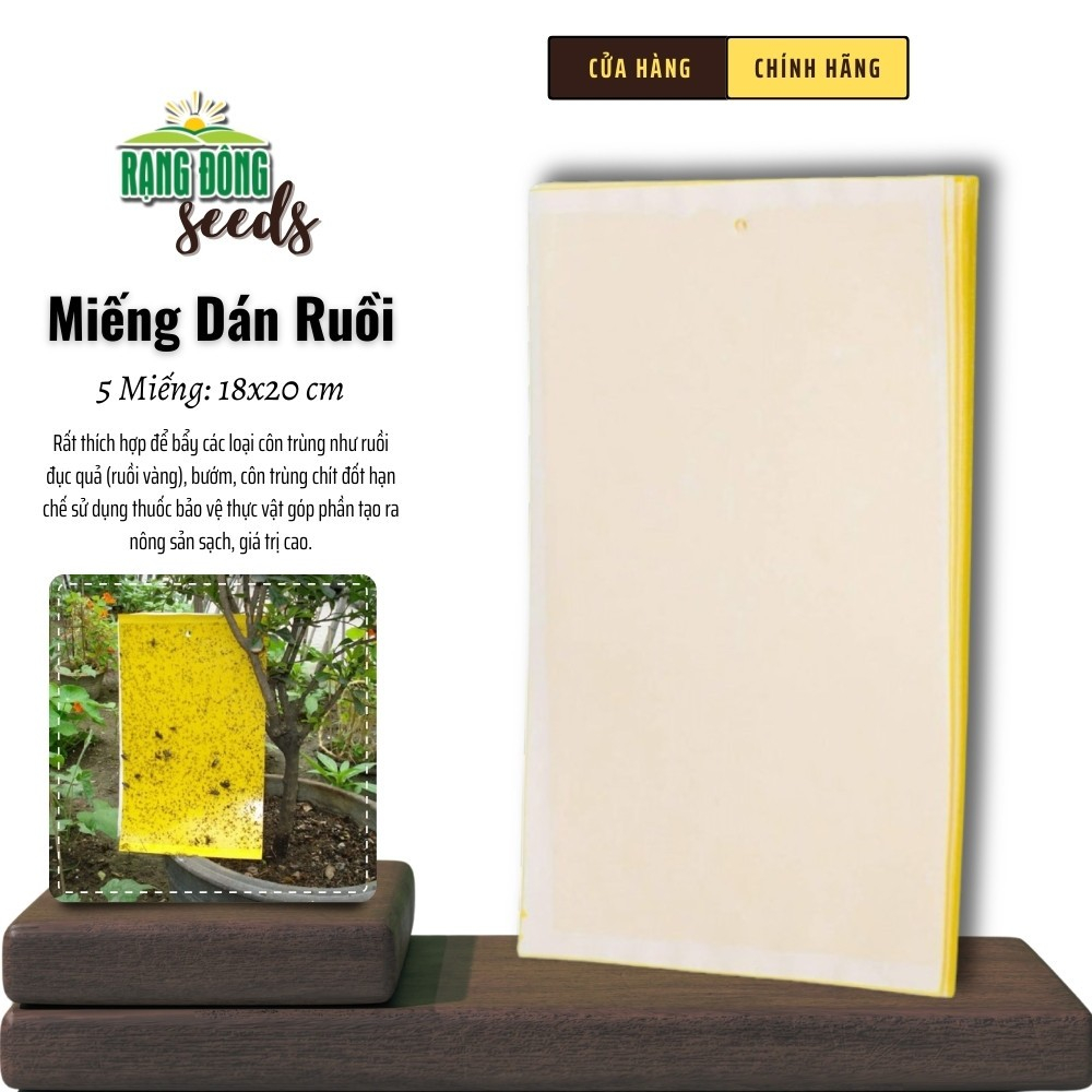 Miếng Dán Ruồi Vàng - Bẫy côn trùng hút chích, bướm, phấn, ruồi, siêu dính - Rạng Đông Seeds
