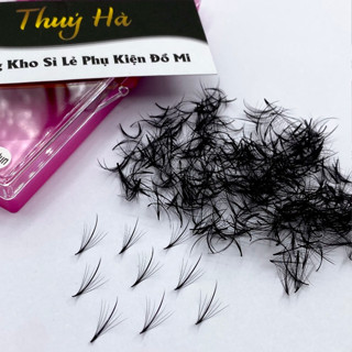 Mi fan sẵn 7D Katun-Wipsy dày 0.07 cong C-CC-D - fan trụ katun sẵn - Xòe đều,bao đen,mềm - Thúy Hà