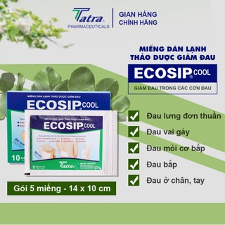 Miếng dán lạnh thảo dược Ecosip Cool - Tatra