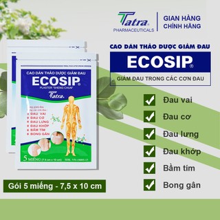 Cao Dán Thảo Dược Giảm Đau Ecosip Plaster - Tatra