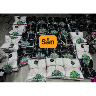 SÉT REN TRÁI DÂU BIGSIZE THƠ LÊ