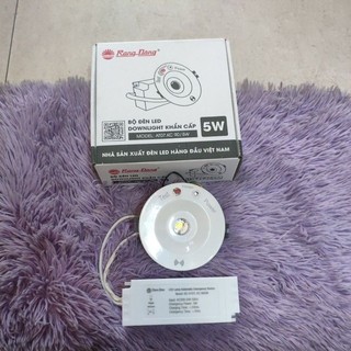 Đèn âm trần sự cố d90-5w rạng đông (chính hãng)