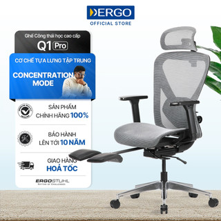 Ghế Công Thái Học Ergonomic Office Chair Ergostuhl Q1 Pro