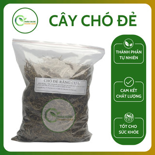 1kg diệp hạ châu cây chó đẻ đánh bay sỏi thận, tiểu đường - dược liệu thanh loan