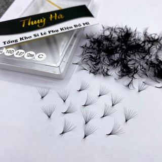 Mi fan sẵn 10D dày 0.05-0.07 (1 hộp 500fan) mi bao đen,xòe đều,nối mi volume - Thúy Hà