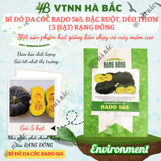 Hạt giống bí đỏ da cóc rado 565 rạng đông, đặc ruột, dẻo thơm, trái sai, trồng quanh năm