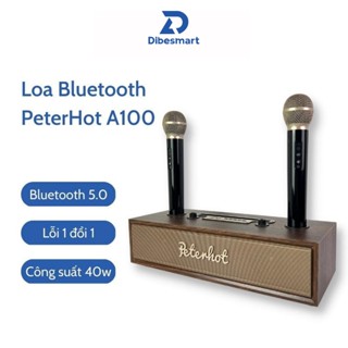 Loa karaoke bluetooth Peterhot A100 DIBESMART 2 micro không dây, âm thanh siêu hay, bảo hành 12 tháng