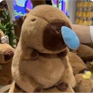 Gấu bông capybara sổ mũi khổ vải 60cm cao 50cm có khóa kéo xinh xắn