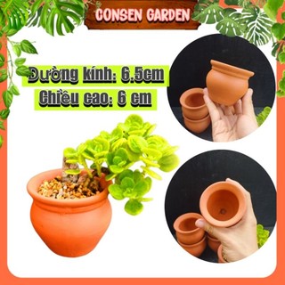Chậu đất nung chum loe mini - chậu trồng sen đá, xr