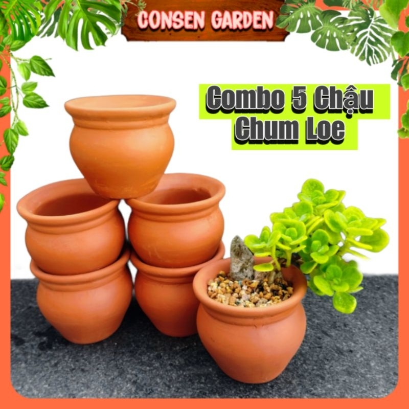 Combo 5 Chậu Đất Nung Chum Loe Mini Trồng Sen Đá