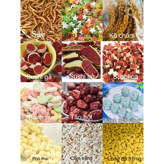 Thức ăn hamster (đồng giá 10k)