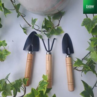 Bộ dụng cụ làm vườn loại To 3 món, cỡ trung - xẻng trồng cây cảnh, hoa - xới đất trồng |Living Decor