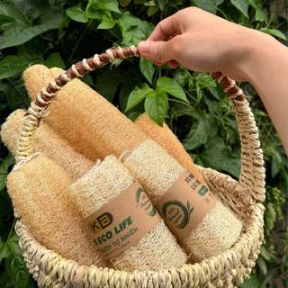 Xơ mướp nguyên quả, xơ mướp khúc KB rửa bát, bông tắm, massage, tẩy da chết