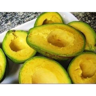 Cây giống bơ sáp da xanh