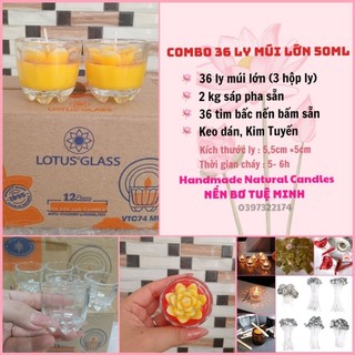 Combo 36 ly múi lớn làm nến bơ 50ml