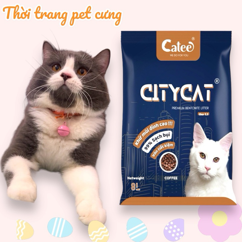 [ HOẢ TỐC] Cát Vệ Sinh Cho Mèo CityCat Túi 8L-4kg Vón Cục Tốt Không Bụi Không Dính Khay