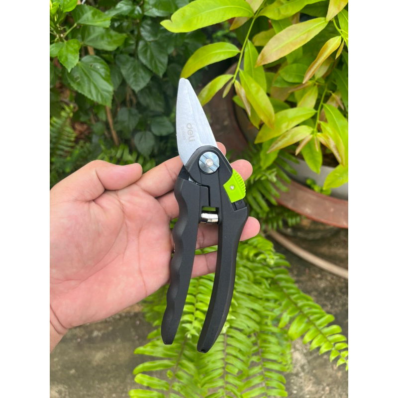 Kéo cắt đa băng Deli