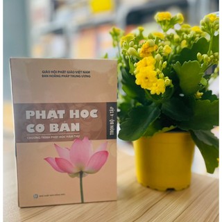 Sách - phật học cơ bản - chương trình phật học hàm thụ