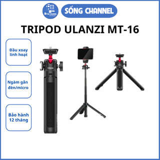  Giá đỡ điện thoại Tripod Mini Ulanzi Mt-16 