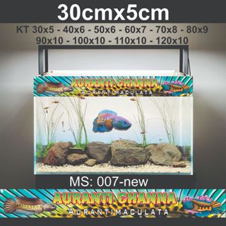 Tem decal dán hồ cá lóc cảnh mẫu nữ hoàng mới - đủ kích thước - màu sắc bắt mắt hơn