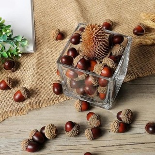 Quả sồi khô thật, trái sồi, hạt sồi, đạo cụ chụp ảnh, decor quán cà phê, trang trí noel