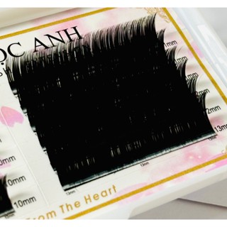 Mi Lông Thỏ siêu mềm,nhẹ, dày 0.03 độ cong J-B-C-CC-D, mix size từ 8-13mm