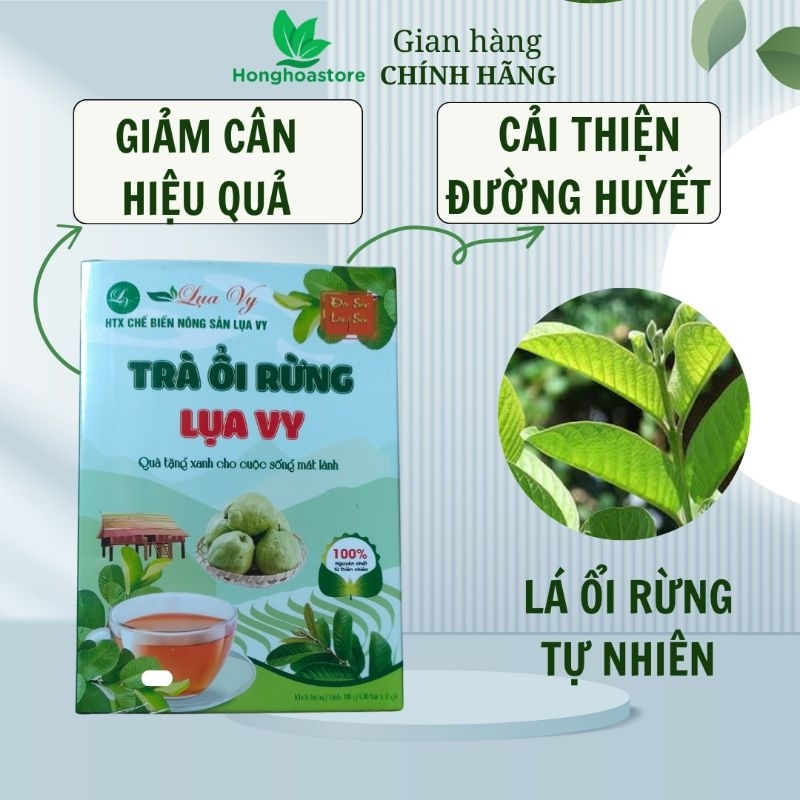 TRÀ ỔI RỪNG LỤA VY – THANH LỌC CƠ THỂ, GIẢM MỠ, GIỮ DÁNG! dạng hộp