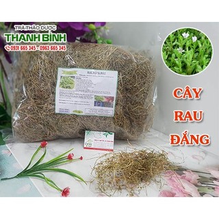 Cây rau đắng 1kg - hàng công ty loại 1