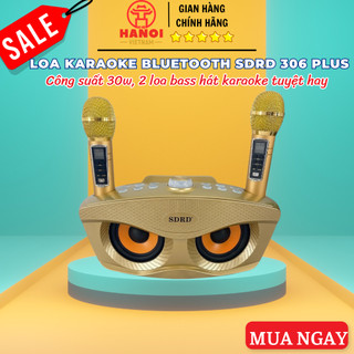 Loa Karaoke Bluetooth SD-306 Tặng Kèm 2 Micro Không Dây, loa karaoke mini du lịch và dành hát cho gia đình