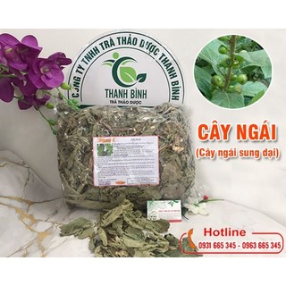 Cây ngái khô 1kg - thảo dược thanh bình
