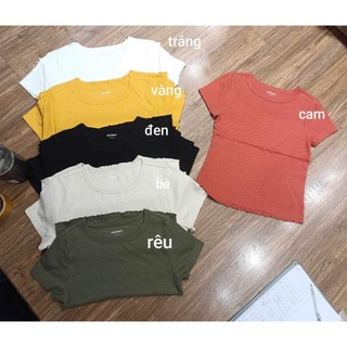 Áo thun babytee A3788