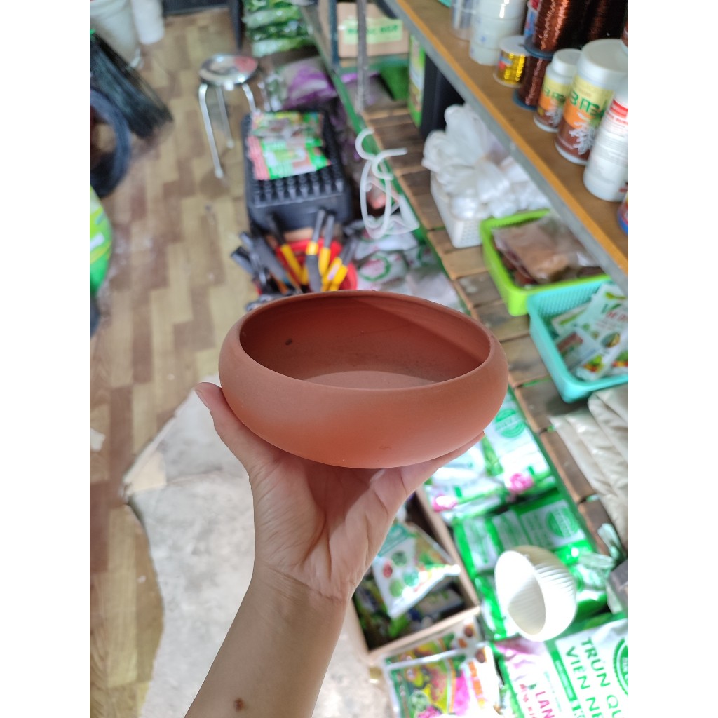 Chậu bánh tiêu b2