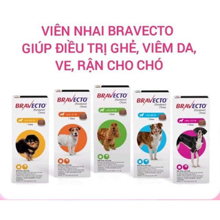 Bravecto diệt ve rận bọ chét ghẻ demodex trên chó