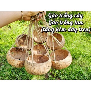 Gáo trồng cây có kèm dây treo / 7 mẫu gáo dừa trồng cây miệng trơn